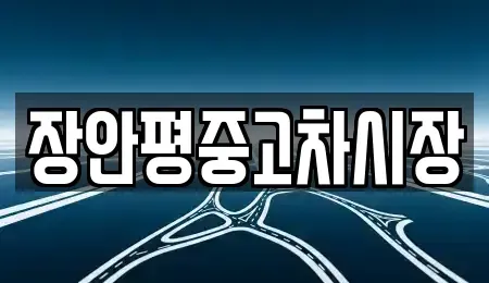 서울특별시 성동구 중고차 전문 장안평중고차시장