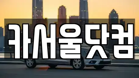 서울특별시 성동구 중고차 전문 카서울닷컴