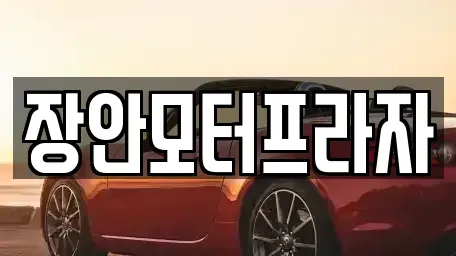 서울특별시 성동구 중고차매매 전문 장안모터프라자