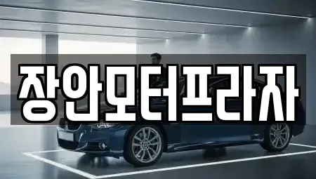 서울특별시 성동구 중고차매매 전문 장안모터프라자