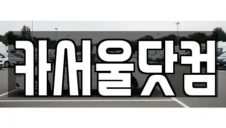 서울특별시 성동구 중고차매매 전문 카서울닷컴