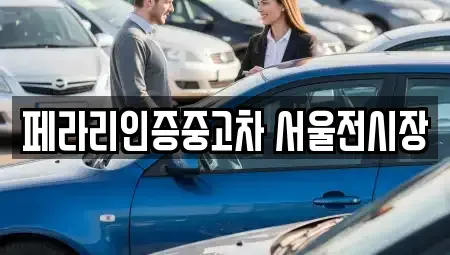 서울특별시 성동구 중고차매매 전문 페라리인증중고차 서울전시장