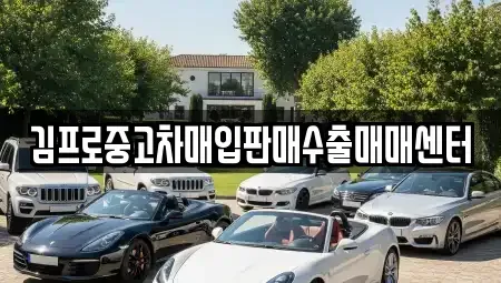 서울특별시 성동구 중고차매입 전문 김프로중고차매입판매수출매매센터