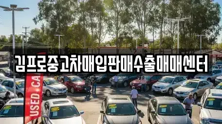 서울특별시 성동구 중고차매입 전문 김프로중고차매입판매수출매매센터