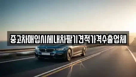 서울특별시 성동구 중고차매입 전문 중고차매입시세내차팔기견적가격수출업체