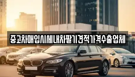 서울특별시 성동구 중고차매입 전문 중고차매입시세내차팔기견적가격수출업체