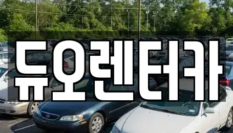 서울특별시 송파구 풍납동 렌트카 전문 듀오렌터카