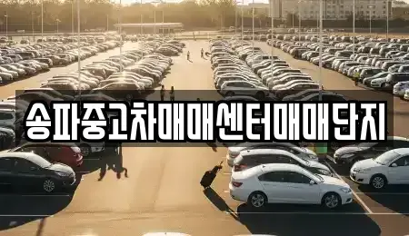 서울특별시 송파구 풍납동 중고차 전문 송파중고차매매센터매매단지