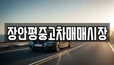 서울특별시 송파구 풍납동 중고차 전문 장안평중고차매매시장