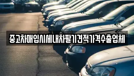 서울특별시 송파구 풍납동 중고차매입 전문 중고차매입시세내차팔기견적가격수출업체