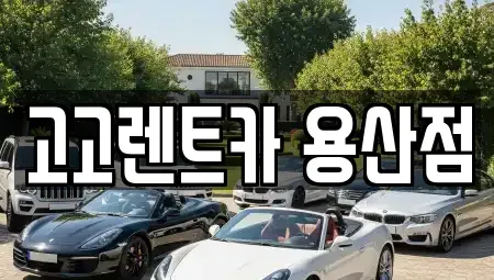 서울특별시 용산구 한강로1가 렌트카 전문 고고렌트카 용산점