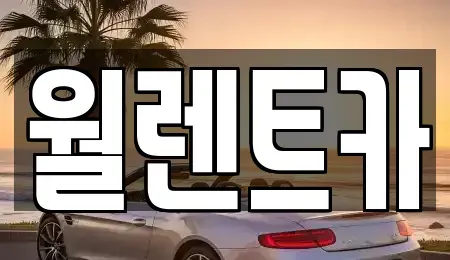 서울특별시 용산구 한강로1가 렌트카 전문 월렌트카