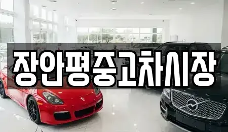 서울특별시 용산구 한강로1가 중고차매매 전문 장안평중고차시장
