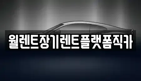 서울특별시 은평구 불광동 장기렌트카 전문 월렌트장기렌트플랫폼직카