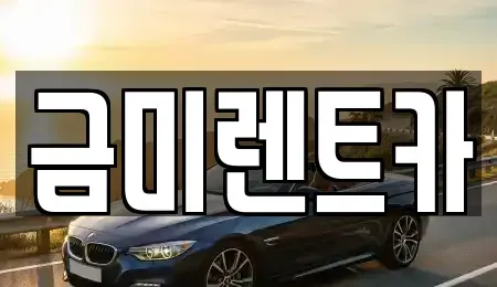 서울특별시 종로구 필운동 렌트카 전문 금미렌트카
