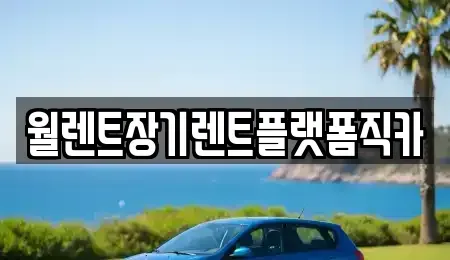 서울특별시 종로구 필운동 렌트카 전문 월렌트장기렌트플랫폼직카