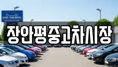 서울특별시 종로구 필운동 중고차 전문 장안평중고차시장