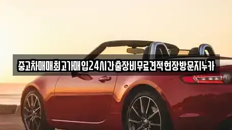 서울특별시 종로구 필운동 중고차 전문 중고차매매최고가매입24시간출장비무료견적현장방문지누카
