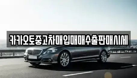 서울특별시 종로구 필운동 중고차 전문 카카오토중고차매입매매수출판매시세