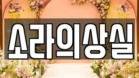소라의상실