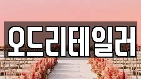 제주 제주시 삼도이동 스드메 컬렉션 15