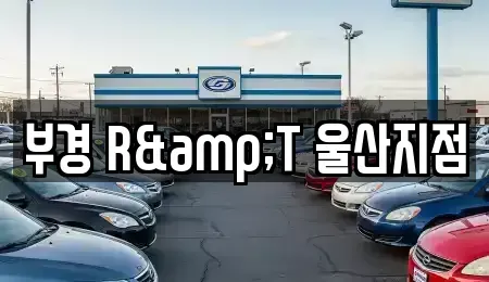 울산 남구 매암동 렌트카 전문 부경 R&T 울산지점