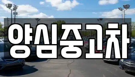 인천광역시 계양구 목상동 중고차 전문 양심중고차