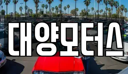 전남 구례군 용방면 중고차 전문 대양모터스