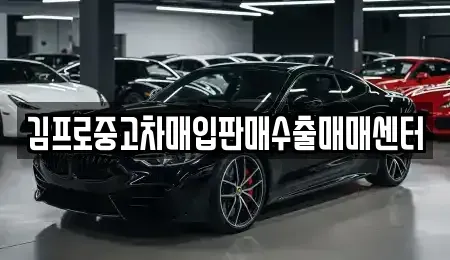 전남 영암군 삼호읍 중고차매입 전문 김프로중고차매입판매수출매매센터