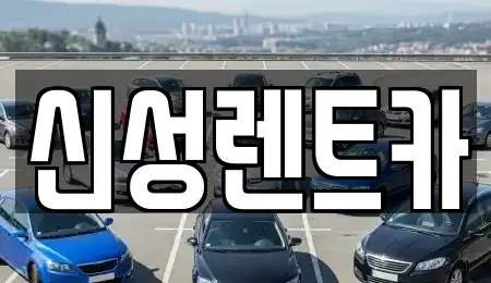 전라남도 나주시 다도면 렌트카 전문 신성렌트카