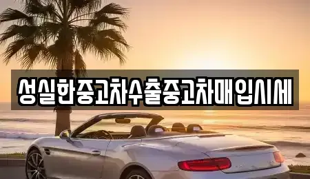 전북 군산시 중앙로3가 중고차매매 전문 성실한중고차수출중고차매입시세