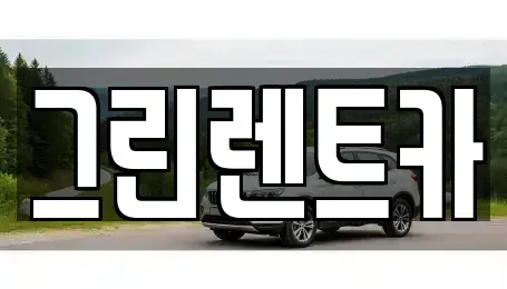 전북 익산시 목천동 렌트카 전문 그린렌트카