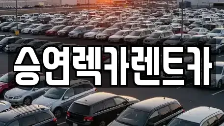 전북 전주시 덕진구 용정동 렌트카 전문 승연렉카렌트카