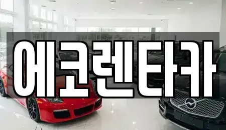 전북 전주시 덕진구 용정동 렌트카 전문 에코렌타카