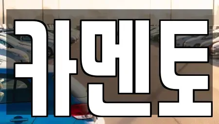 전북 전주시 덕진구 용정동 중고차매입 전문 카멘토