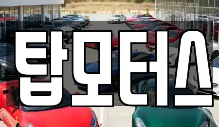 전북 전주시 덕진구 용정동 중고차매입 전문 탑모터스