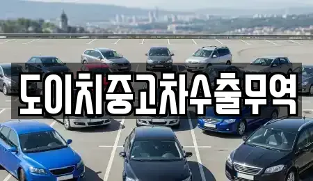 전북 정읍시 금붕동 중고차 전문 도이치중고차수출무역