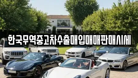 전북특별자치도 고창군 신림면 중고차매매 전문 한국무역중고차수출매입매매판매시세