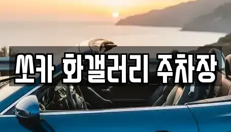 전북특별자치도 군산시 중동 렌트카 전문 쏘카 화갤러리 주차장