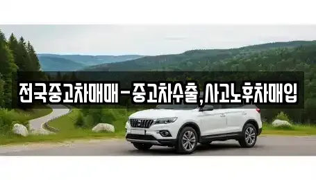 전북특별자치도 전주시 완산구 중화산동2가 중고차 전문 전국중고차매매-중고차수출,사고노후차매입
