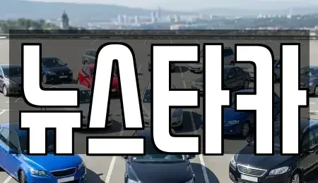 전북특별자치도 중고차 전문 뉴스타카