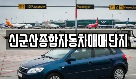 전북특별자치도 중고차 전문 신군산종합자동차매매단지
