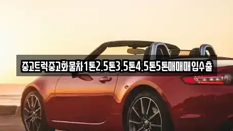 제주 서귀포시 영남동 중고차 전문 중고트럭중고화물차1톤2.5톤3.5톤4.5톤5톤매매매입수출