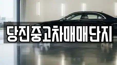충남 당진시 읍내동 중고차매매 전문 당진중고차매매단지
