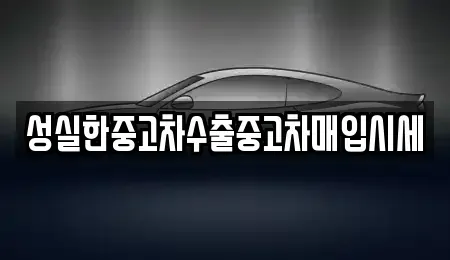충남 천안시 동남구 동면 중고차매매 전문 성실한중고차수출중고차매입시세