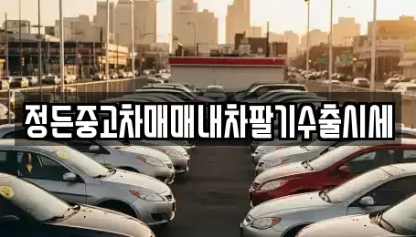 충남 천안시 동남구 동면 중고차매매 전문 정든중고차매매내차팔기수출시세