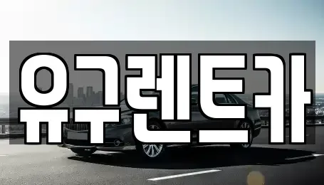 충남 청양군 렌트카 전문 유구렌트카