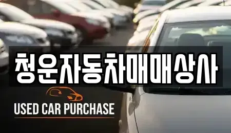 충남 홍성군 금마면 중고차 전문 청운자동차매매상사
