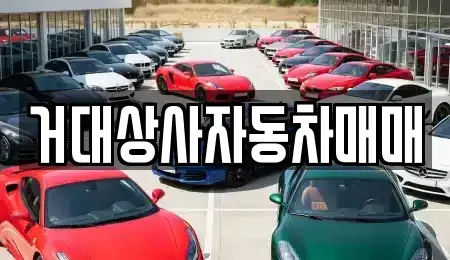 충남 홍성군 금마면 중고차매입 전문 거대상사자동차매매