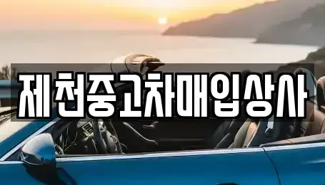 충북 제천시 서부동 중고차 전문 제천중고차매입상사